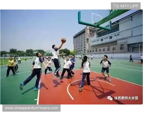 探索世博体育在青少年体育教育中的应用与推广方案