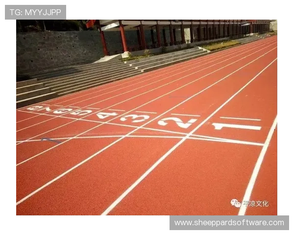 全面解析v体育入口官网的最新功能与使用技巧助你畅享体育盛宴