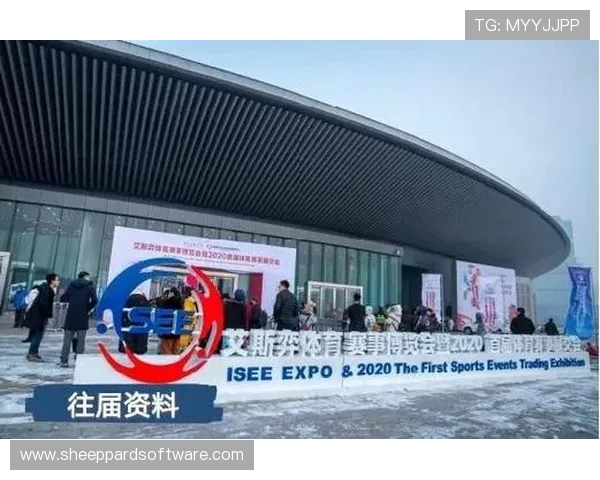 赛博体育行业的政策法规环境分析与未来发展建议